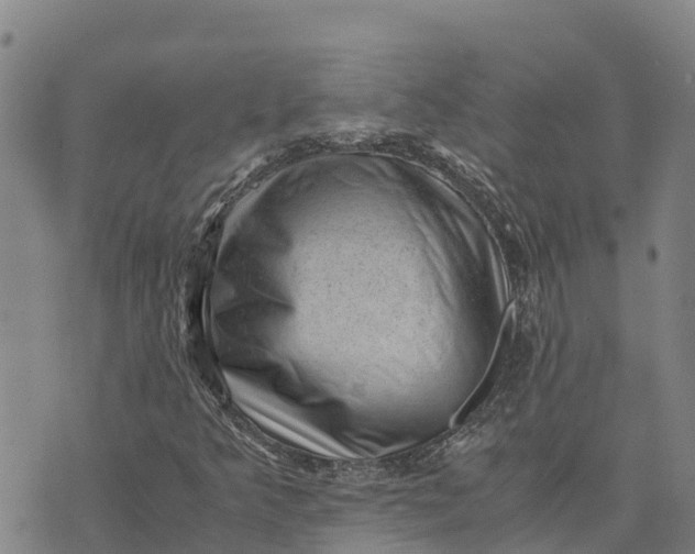 X0000072531349200608041547