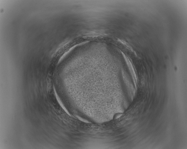 X0000072531350200608041547