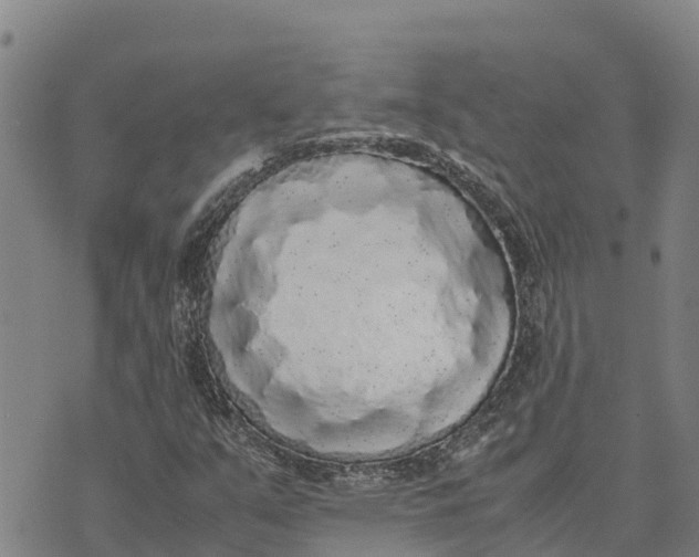 X0000072531351200608041547