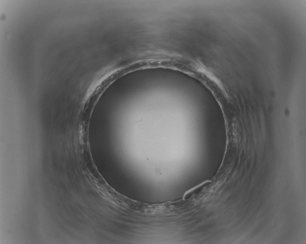 X0000072531352200608041547