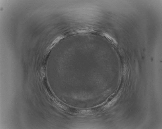 X0000072531353200608041547