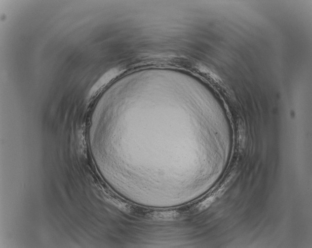 X0000072531354200608041547