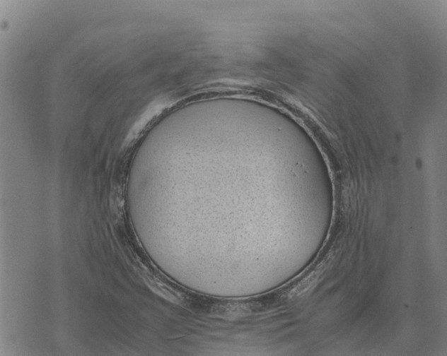 X0000072531355200608041547