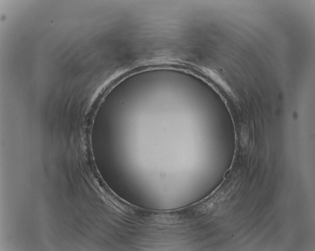 X0000072531356200608041547