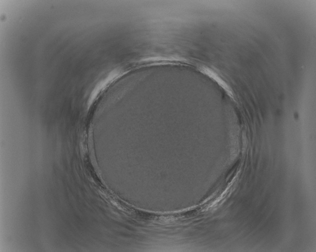 X0000072531357200608041547