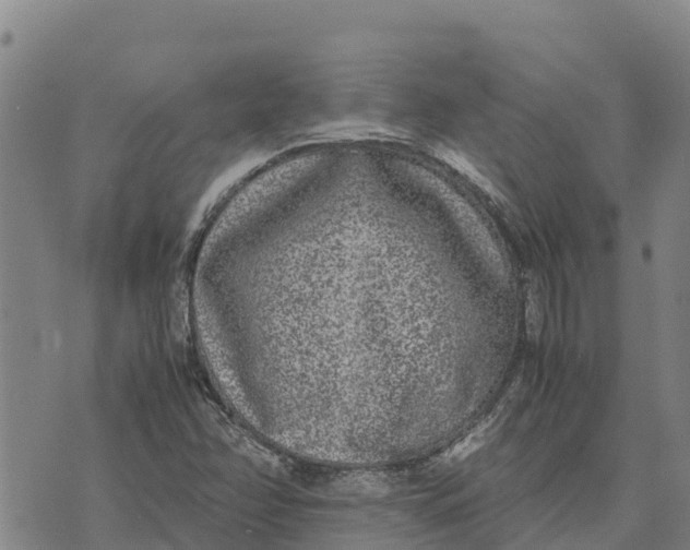 X0000072531358200608041547