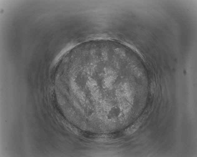 X0000072531359200608041547