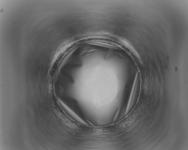 X0000072531360200608041546