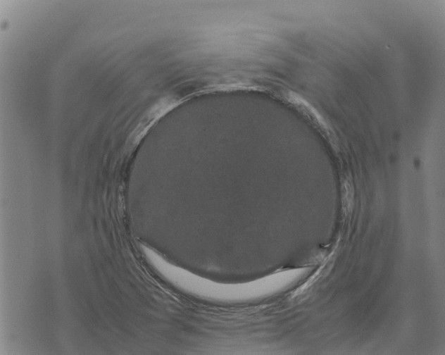 X0000072531361200608041546