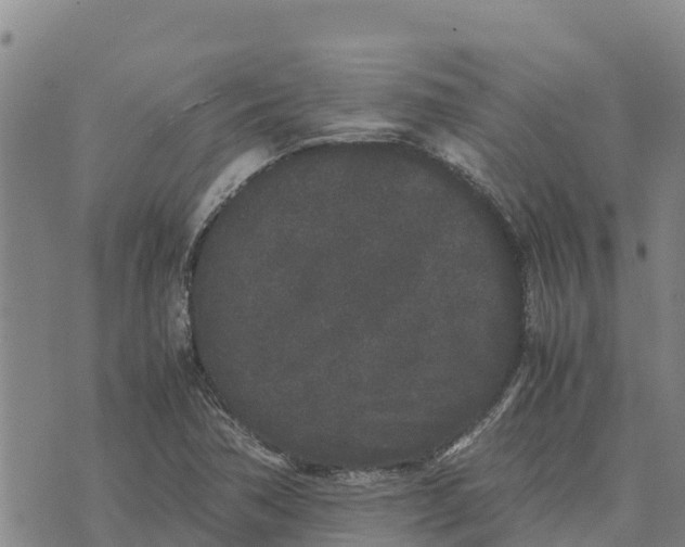 X0000072531362200608041546