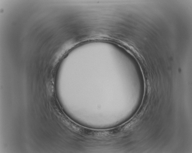 X0000072531363200608041546