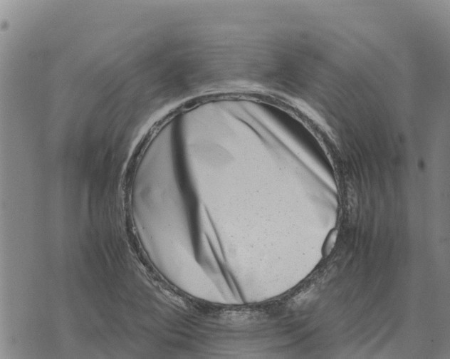 X0000072531364200608041546