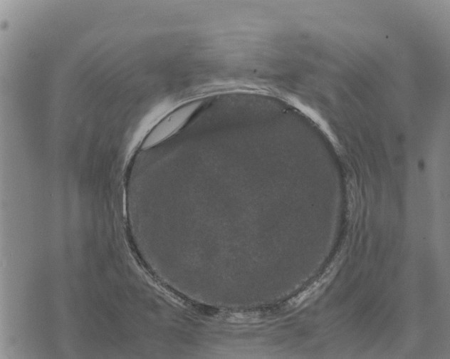 X0000072531365200608041546