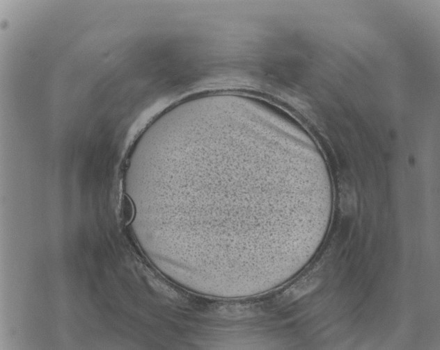 X0000072531366200608041546