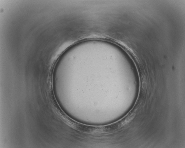 X0000072531367200608041546