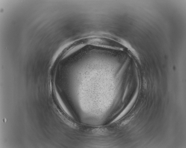 X0000072531368200608041546