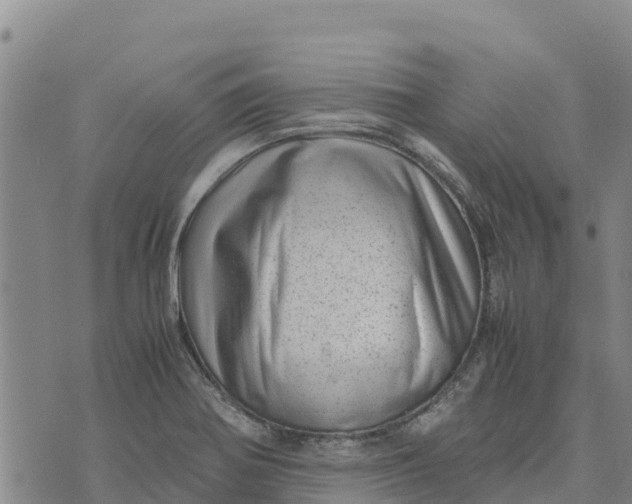 X0000072531370200608041546