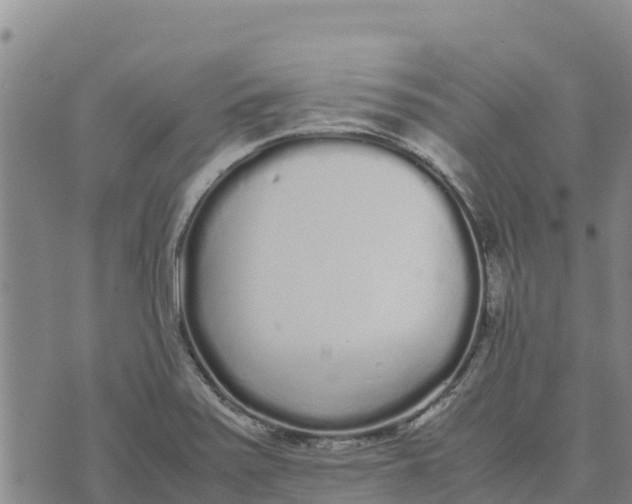 X0000072531371200608041546