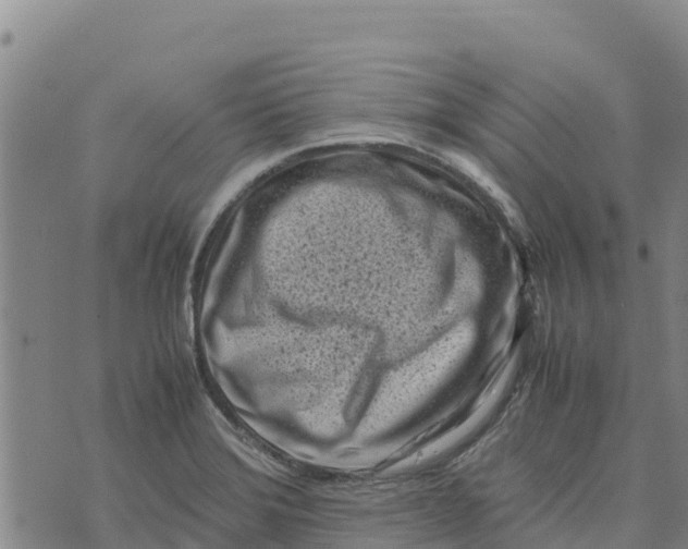 X0000072531372200608041546