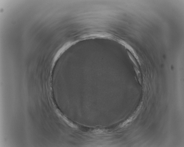 X0000072531373200608041546