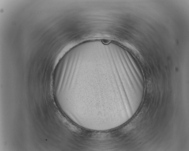 X0000072531374200608041546