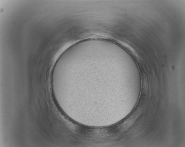 X0000072531375200608041546