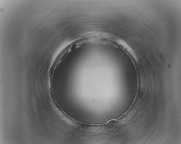 X0000072531376200608041546