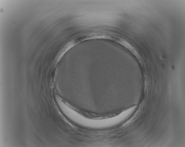 X0000072531377200608041546