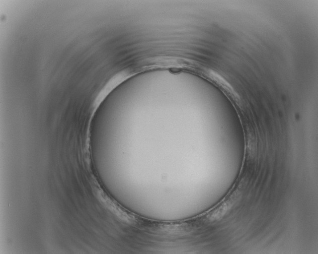 X0000072531378200608041546