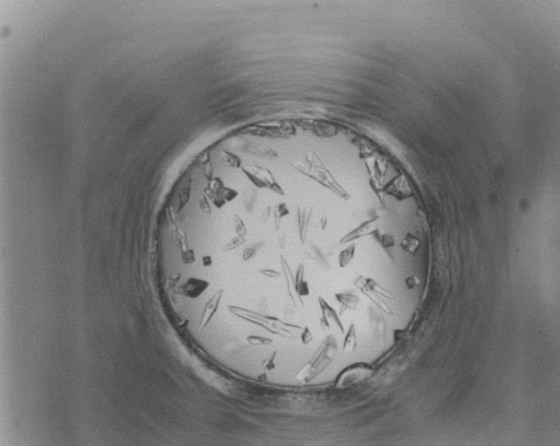 X0000072531379200608041546