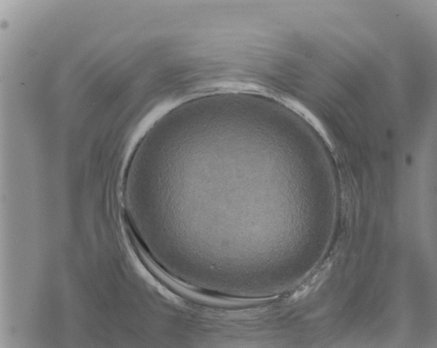 X0000072531381200608041546