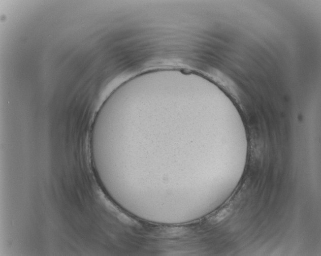 X0000072531382200608041546