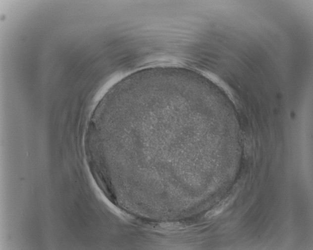 X0000072531383200608041546