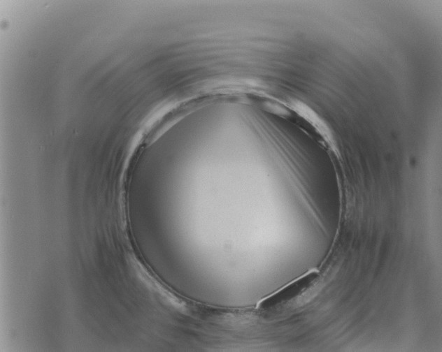 X0000072531384200608041546