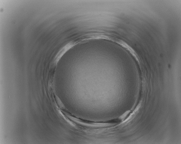 X0000072531385200608041546