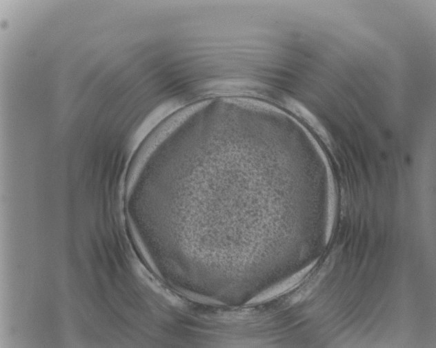 X0000072531386200608041546