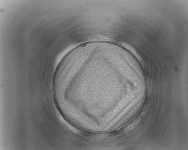 X0000072531387200608041546