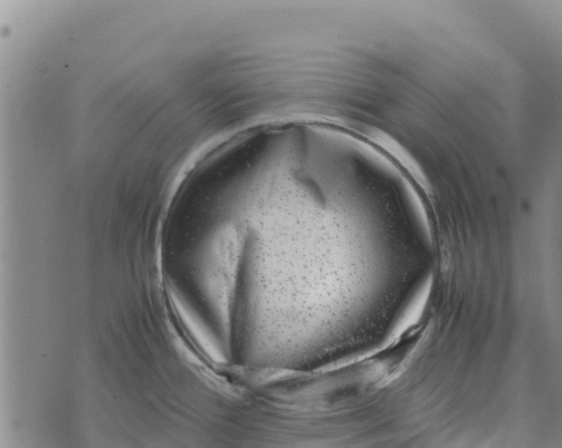 X0000072531388200608041546