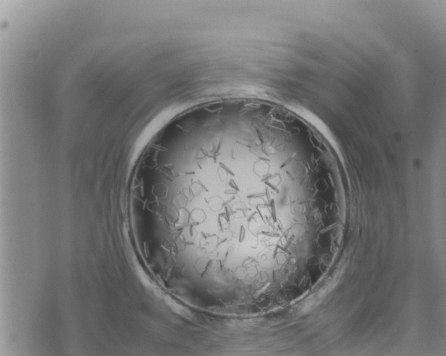 X0000072531389200608041546