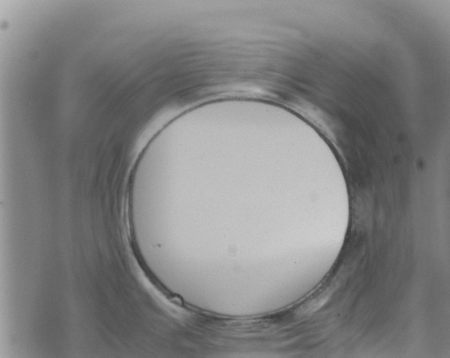 X0000072531391200608041546