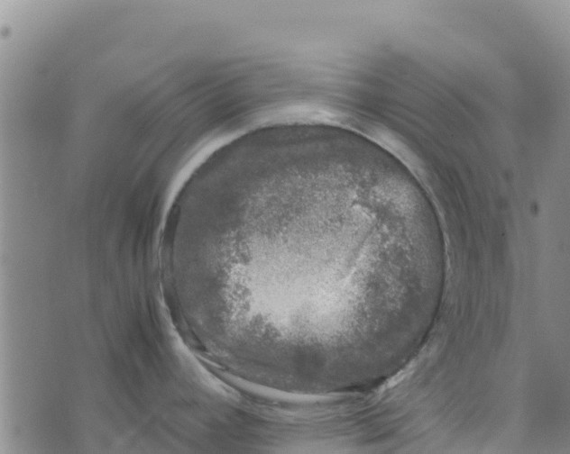 X0000072531392200608041546