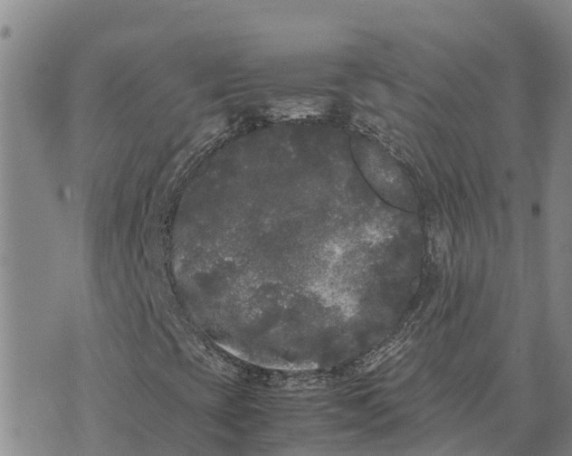 X0000072531393200608041545