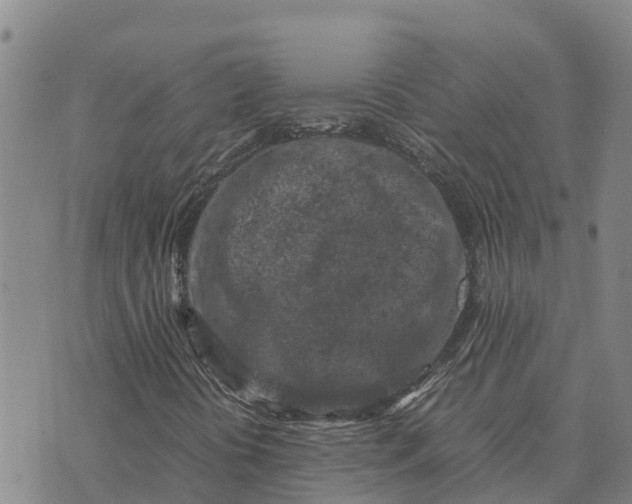 X0000072531394200608041545