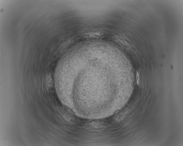 X0000072531395200608041545