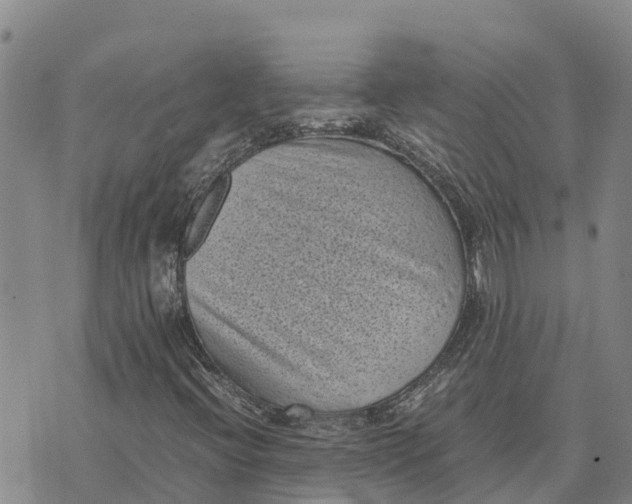 X0000072531396200608041545