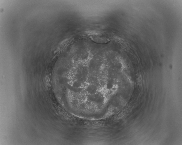 X0000072531397200608041545