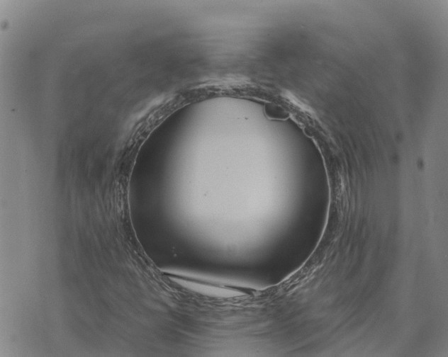 X0000072531398200608041545