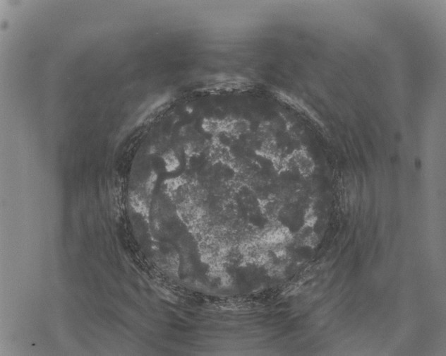 X0000072531399200608041545