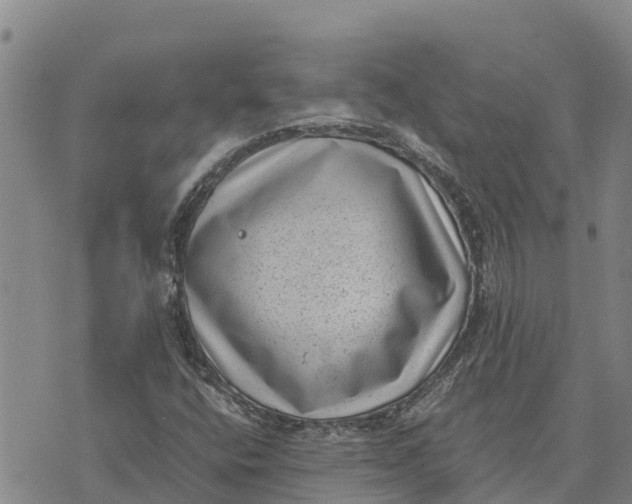 X0000072531400200608041545