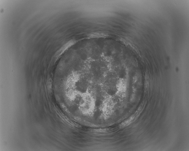 X0000072531401200608041545